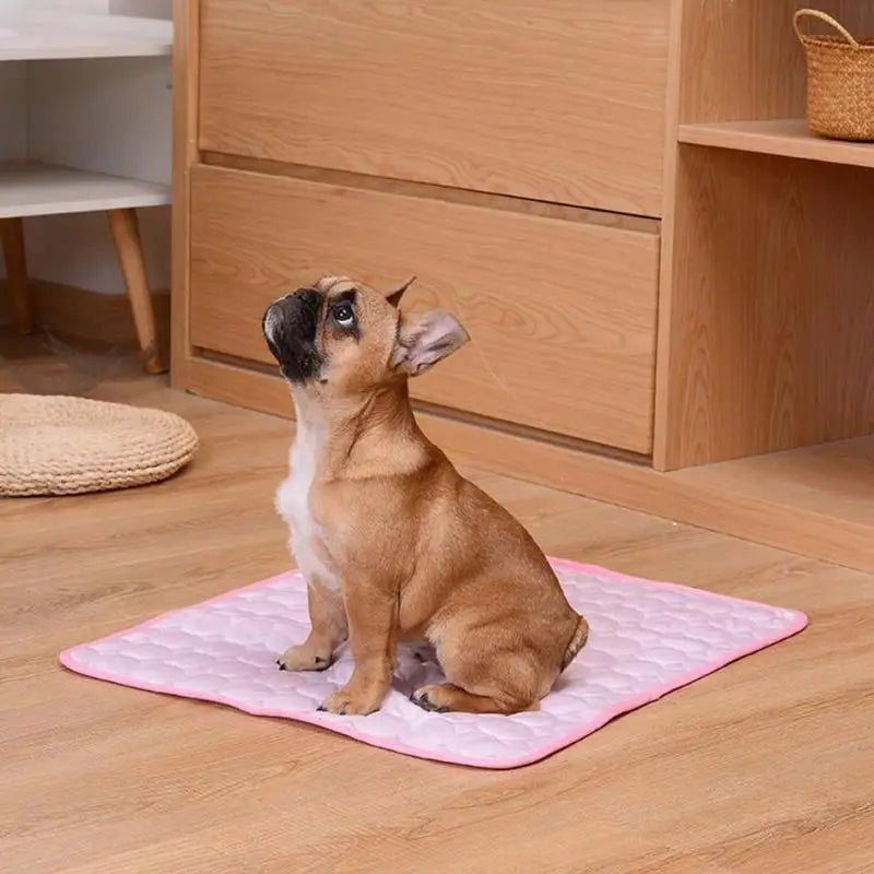 Dog Mat Cooling Summer Pad – Keep Your Pet Cool and Comfortable!