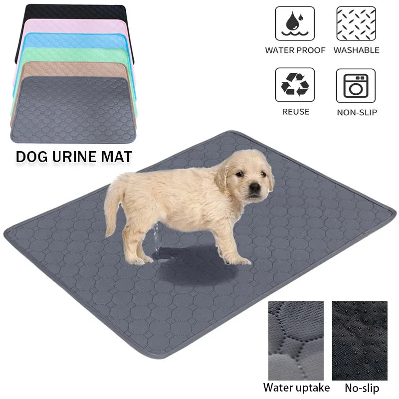 Dog Urine Pads – Reliable, Reusable, and Ready for Any Mess